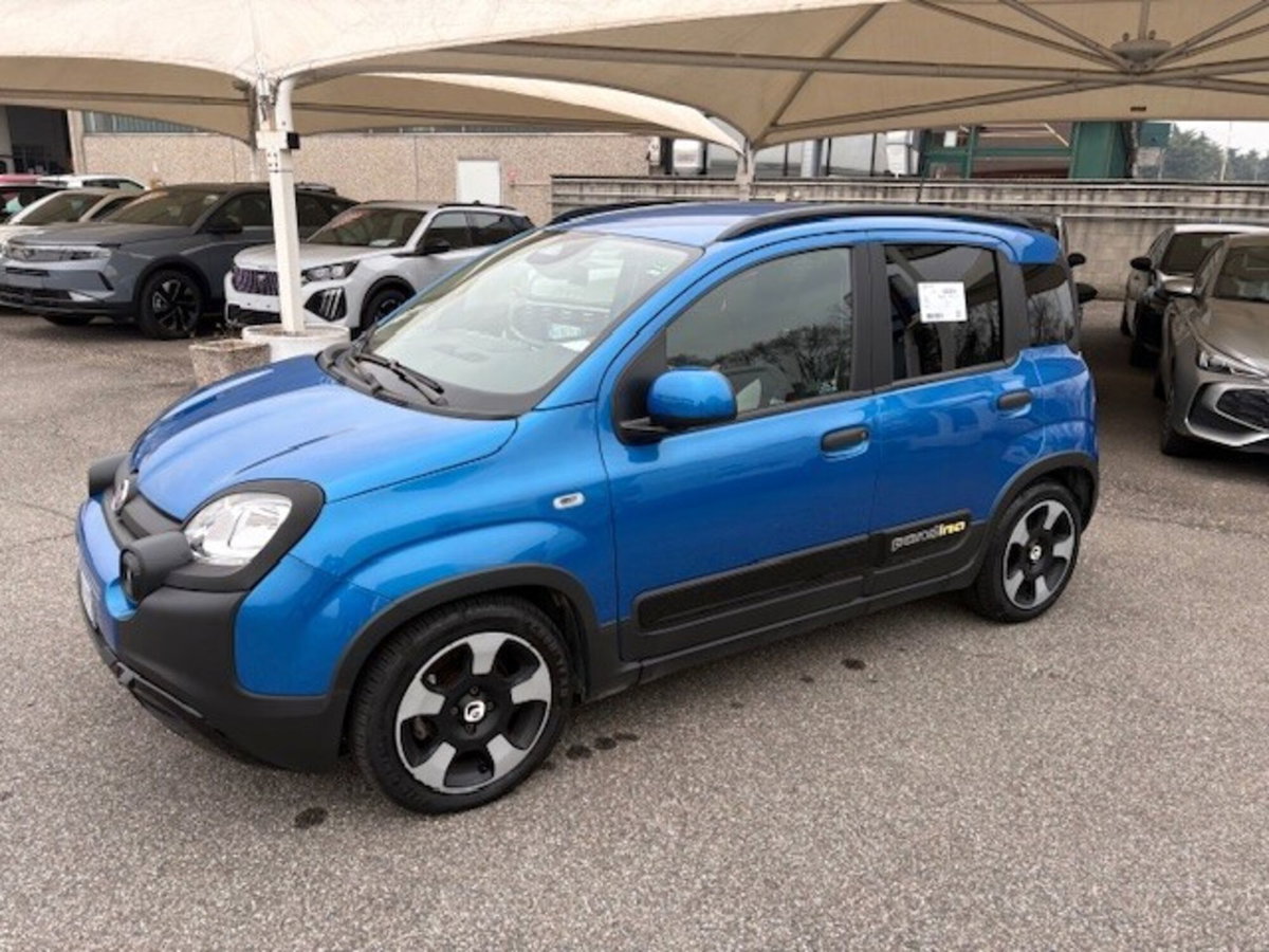 Fiat Panda 1.0 FireFly S&S Hybrid City Cross (14)