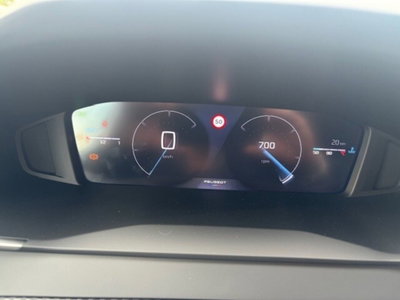 Peugeot 208 PureTech 100 Stop&Start 5 porte Allure (20)
