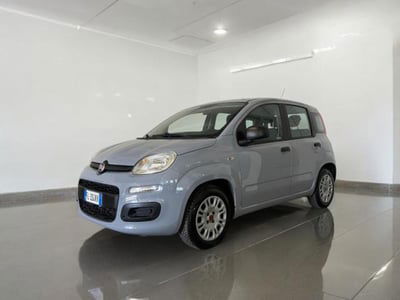 Fiat Panda 1.2 Lounge usata