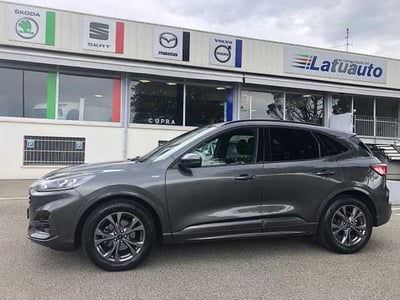 Ford Kuga 1.5 EcoBoost 150 CV 2WD ST-Line usata