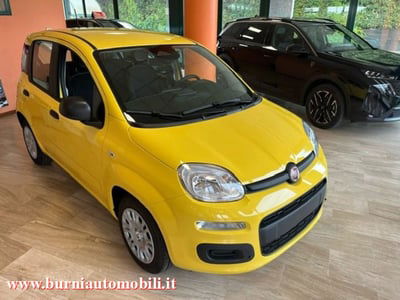 Fiat Panda 1.0 firefly hybrid s&s 70cv 5p.ti nuova