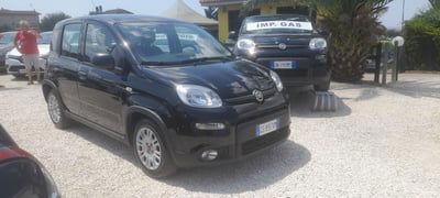 Fiat Panda 1.0 FireFly S&S Hybrid usata