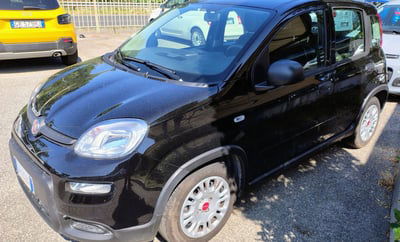 Fiat Panda Cross Cross 1.0 FireFly S&S Hybrid usata