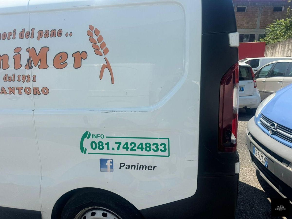Renault Trafic Telaio T29 1.9dCi/100PL-TN P.Cab.Confort (9)