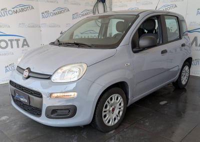 Fiat Panda 1.2 Easy usata