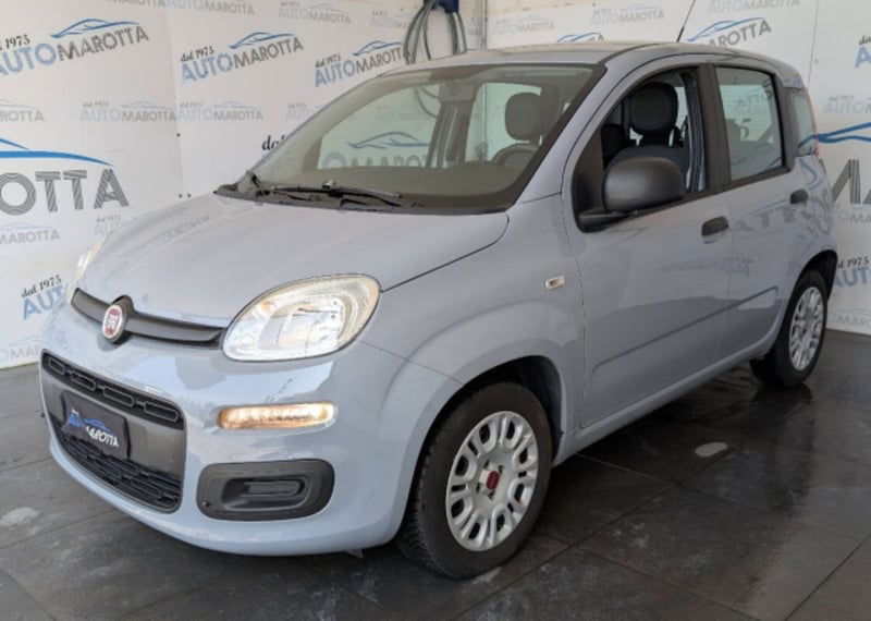 Fiat Panda 1.2 Easy