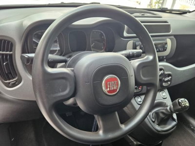 Fiat Panda 1.0 firefly hybrid s&s 70cv 5p.ti (6)