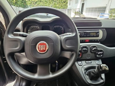 Fiat Panda 1.0 firefly hybrid s&s 70cv 5p.ti (8)