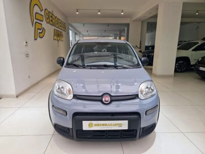 Fiat Panda 1.0 firefly hybrid s&s 70cv 5p.ti usata