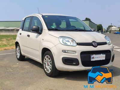 Fiat Panda 1.2 Easy usata