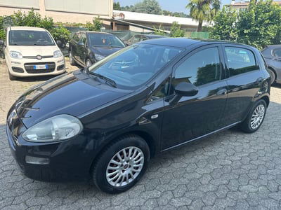 Fiat Punto 1.3 MJT II 75 CV 5 porte Street usata