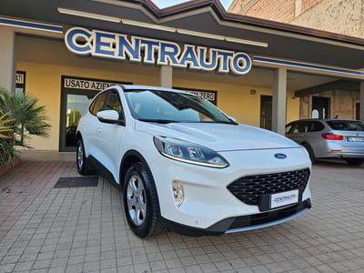 Ford Kuga 1.5 EcoBlue 120 CV aut. 2WD usata