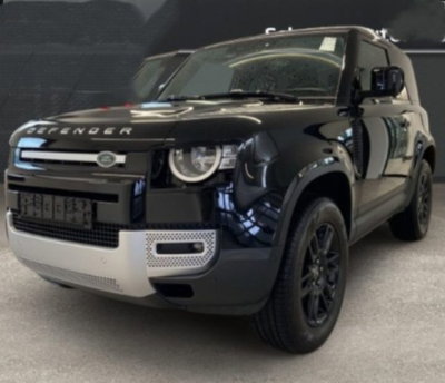 Land Rover Defender 90 3.0D I6 250 CV AWD Auto X-Dynamic S (2)