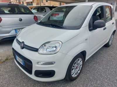 Fiat Panda 1.0 firefly hybrid s&s 70cv 5p.ti usata