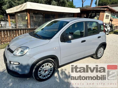 Fiat Panda Cross Cross 1.0 FireFly S&S Hybrid usata