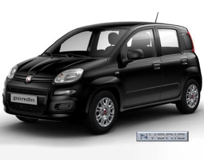 Fiat Panda Cross Cross 1.0 FireFly S&S Hybrid usata