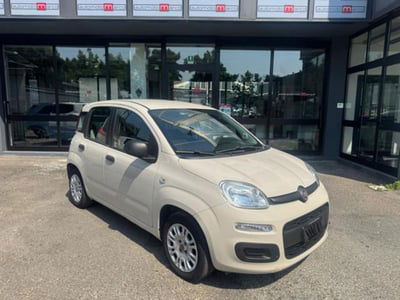 Fiat Panda 1.2 Easy usata