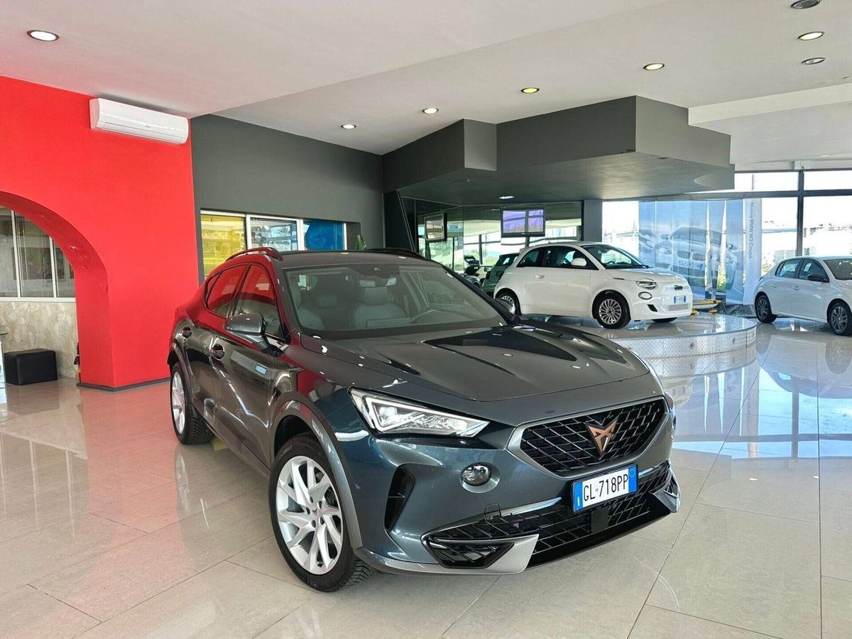 Cupra Formentor Formentor 2.0 TDI (4)