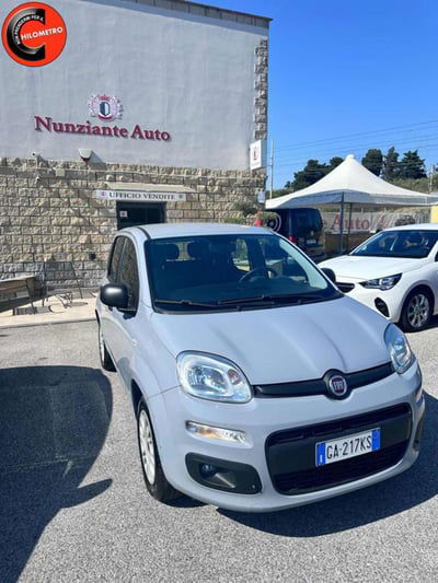 Fiat Panda 1.2 Easy usata