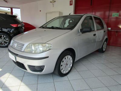 Fiat Punto Classic 1.3 MJT 5 porte Active usata