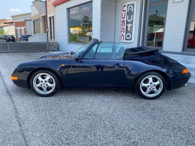 Porsche 911 Cabrio Carrera cat (15)