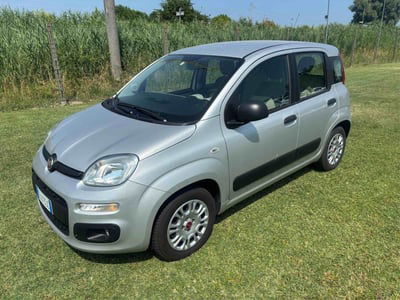Fiat Panda 1.2 Lounge usata