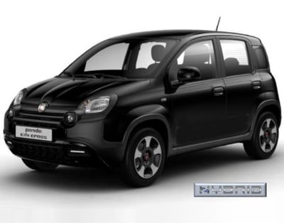 Fiat Panda 1.0 FireFly S&S Hybrid City Cross usata