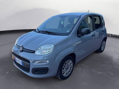 Fiat Panda 1.2 usata