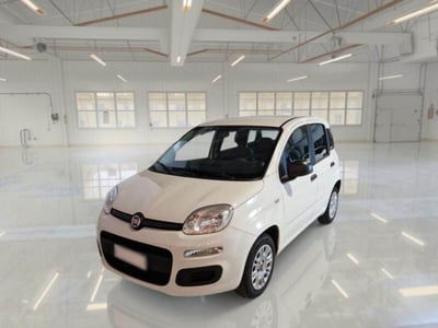 Fiat Panda 1.2 Easy Van 4 posti usata