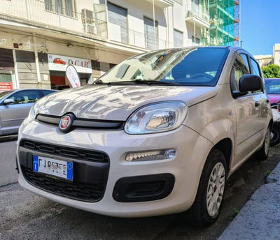 Fiat Panda 1.2 Easy usata