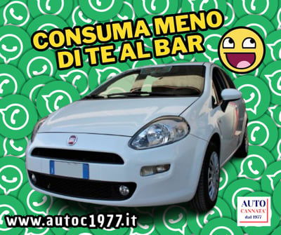 Fiat Punto 1.2 8V 5 porte Street usata