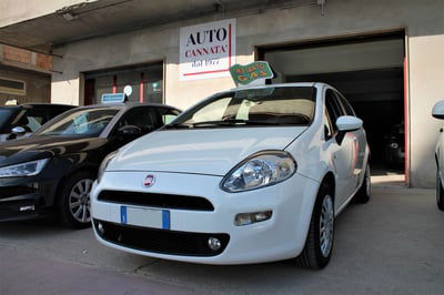 Fiat Punto 1.2 8V 5 porte Street usata