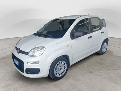 Fiat Panda Cross Cross 1.0 FireFly S&S Hybrid usata