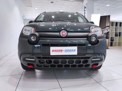 Fiat Panda Cross Cross 1.0 FireFly S&S Hybrid usata
