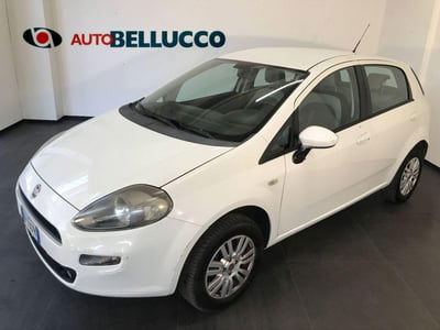 Fiat Punto 1.4 8V 5 porte Natural Power Easy usata