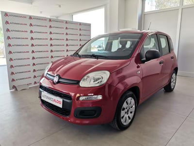 Fiat Panda 1.2 Pop usata