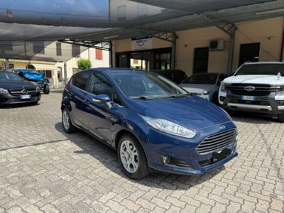 Ford Fiesta 1.0 80CV 5 porte Black & White Edition usata
