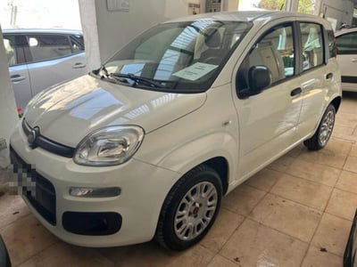 Fiat Panda 1.2 usata