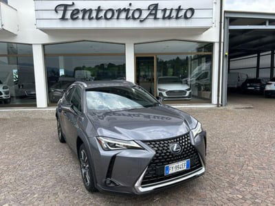 Lexus UX Hybrid 4WD Executive usata