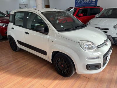 Fiat Panda 1.2 EasyPower Easy usata