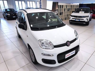 Fiat Panda 1.2 usata