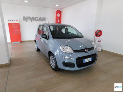 Fiat Panda Cross Cross 1.0 FireFly S&S Hybrid usata