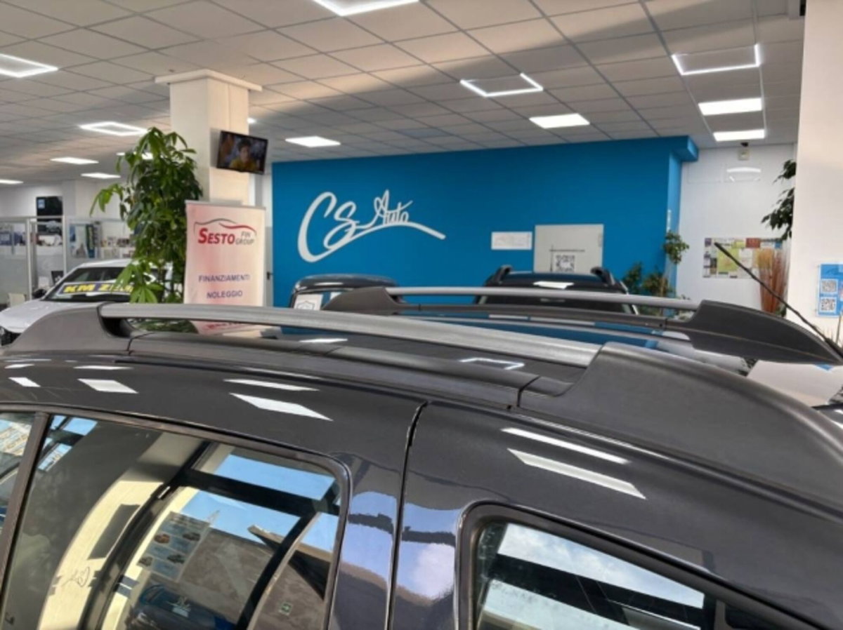 Dacia Sandero Stepway 1.5 Blue dCi 95 CV Techroad (6)