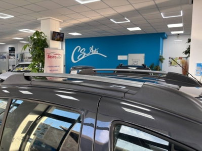 Dacia Sandero Stepway 1.5 Blue dCi 95 CV Techroad (6)