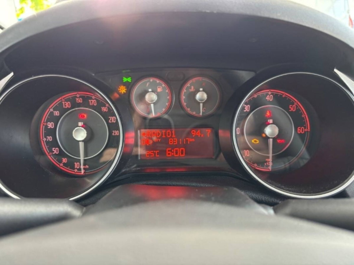 Fiat Punto 1.3 MJT II 75 CV 5 porte Young (13)