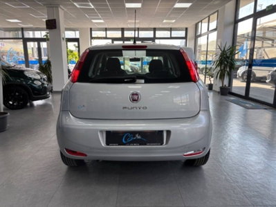 Fiat Punto 1.3 MJT II 75 CV 5 porte Young (5)