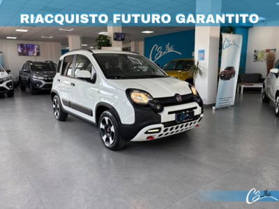 Fiat Panda 1.0 FireFly S&S Hybrid City Cross usata
