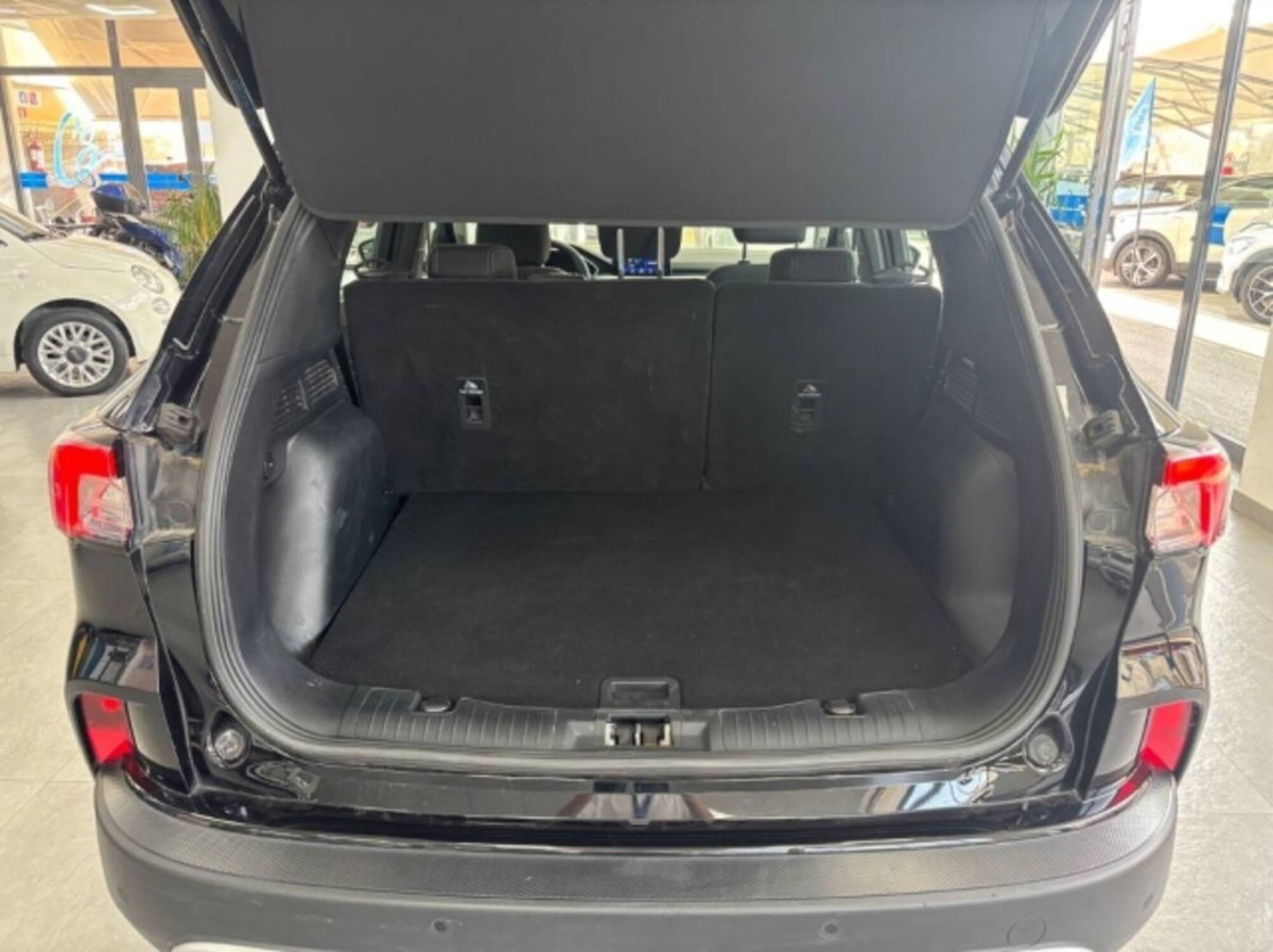 Ford Kuga 2.0 EcoBlue Hybrid 150 CV 2WD (14)