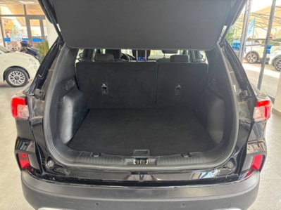 Ford Kuga 2.0 EcoBlue Hybrid 150 CV 2WD (14)