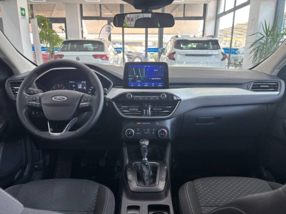 Ford Kuga 2.0 EcoBlue Hybrid 150 CV 2WD (15)